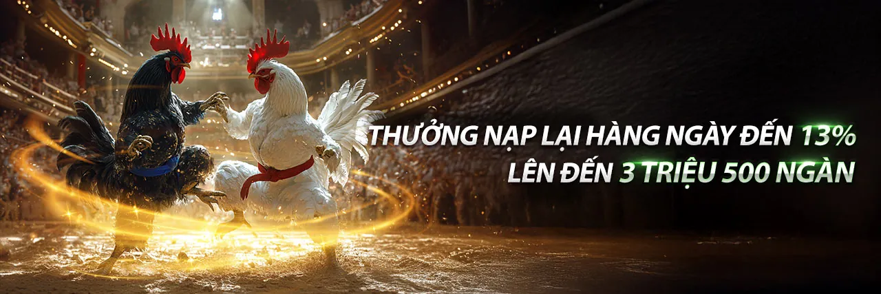 Ưu Đãi ZM88 Hấp Dẫn