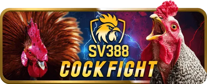 Thưởng chào mừng ZM88